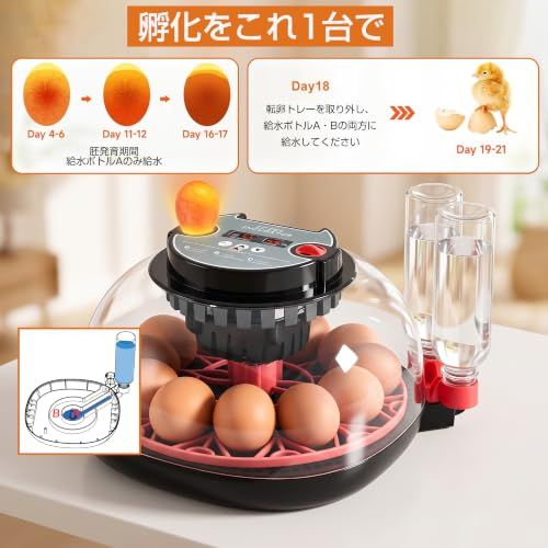 ☆新品☆孵卵器 自動転卵 12個用 エルエンスタジオ インキュベーター