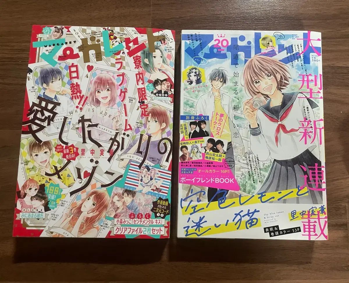 スカイブルー レモンと迷子の猫 佐藤 中美香 マーガレット 表紙 純情漫画雑誌