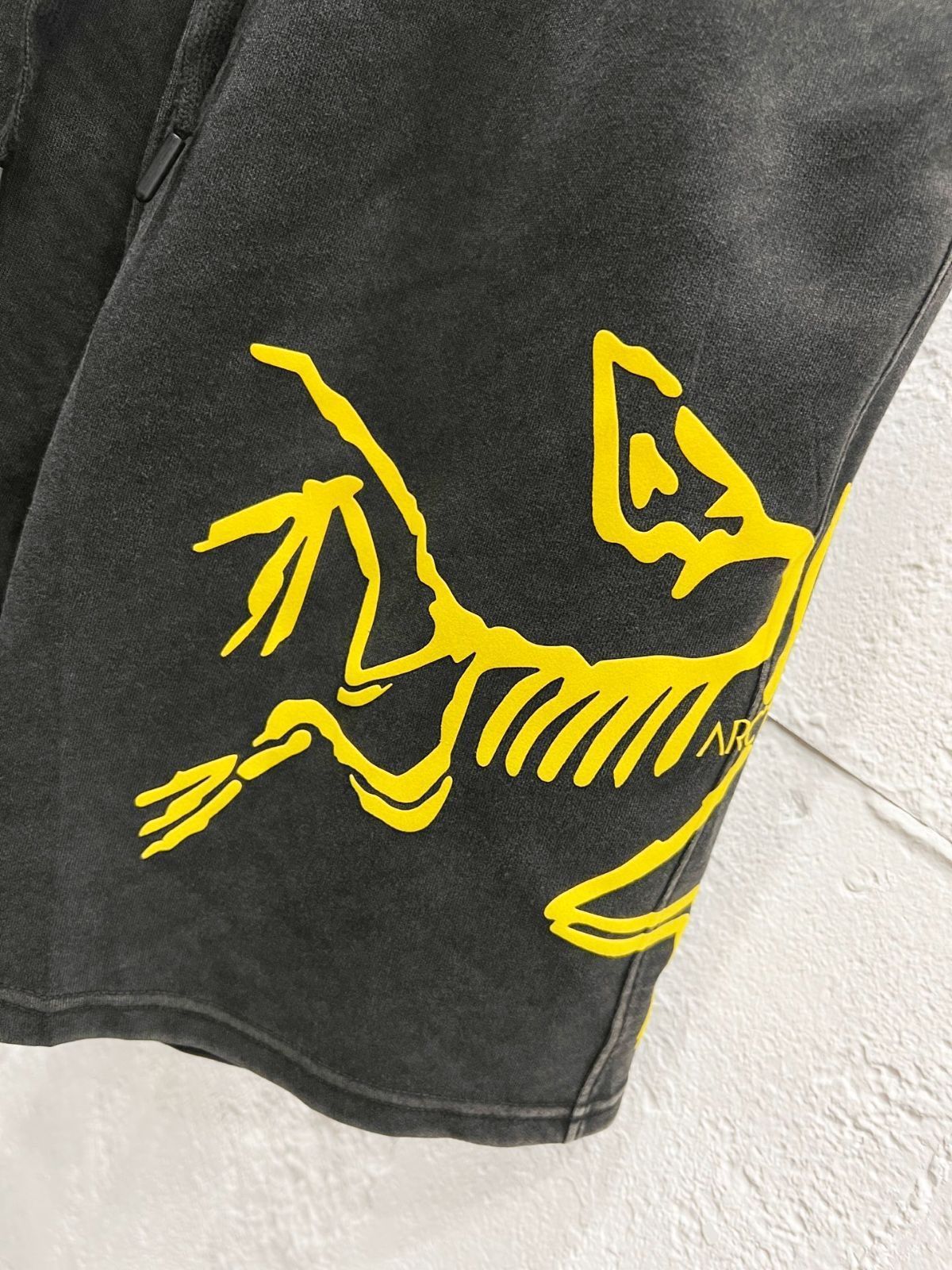 【今日特価】ARCTERYX 2025SS Casual Shorts 【今日特価】ARCTERYX 2025SS Casual Shorts
