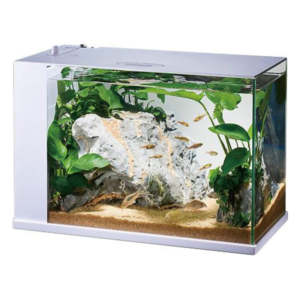 ★新品★GEX AQUARIUM ラクテリア 水換え簡単水槽 フィルター・LED付き W34×D17.5×H24cmホワイト