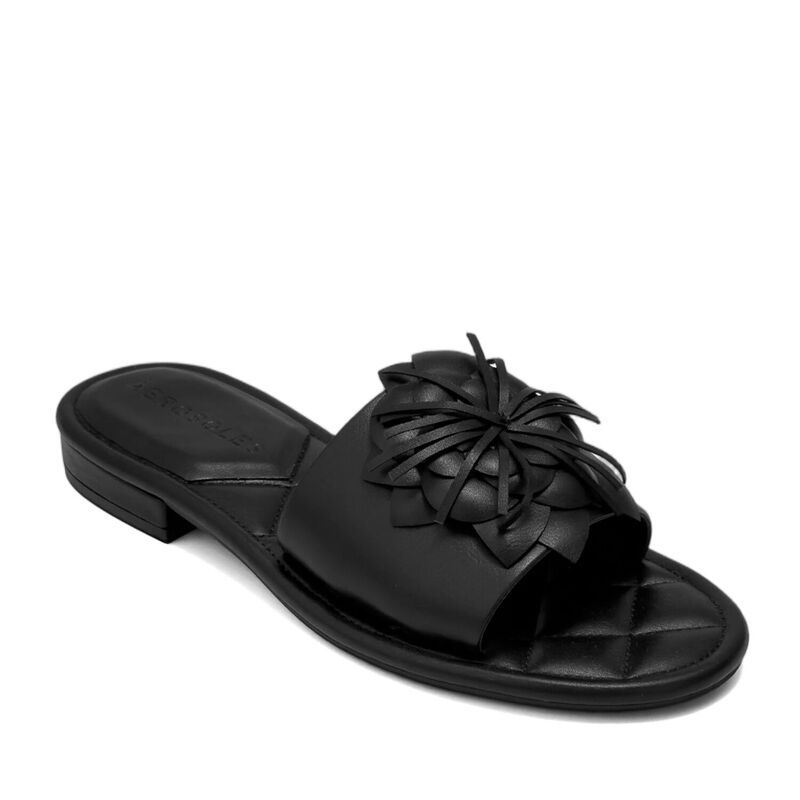 エアロソールズ レディース シューズ サンダル Aerosoles Begonia WomenslipOn Flat Sandals with Flower Accent Black ブラック