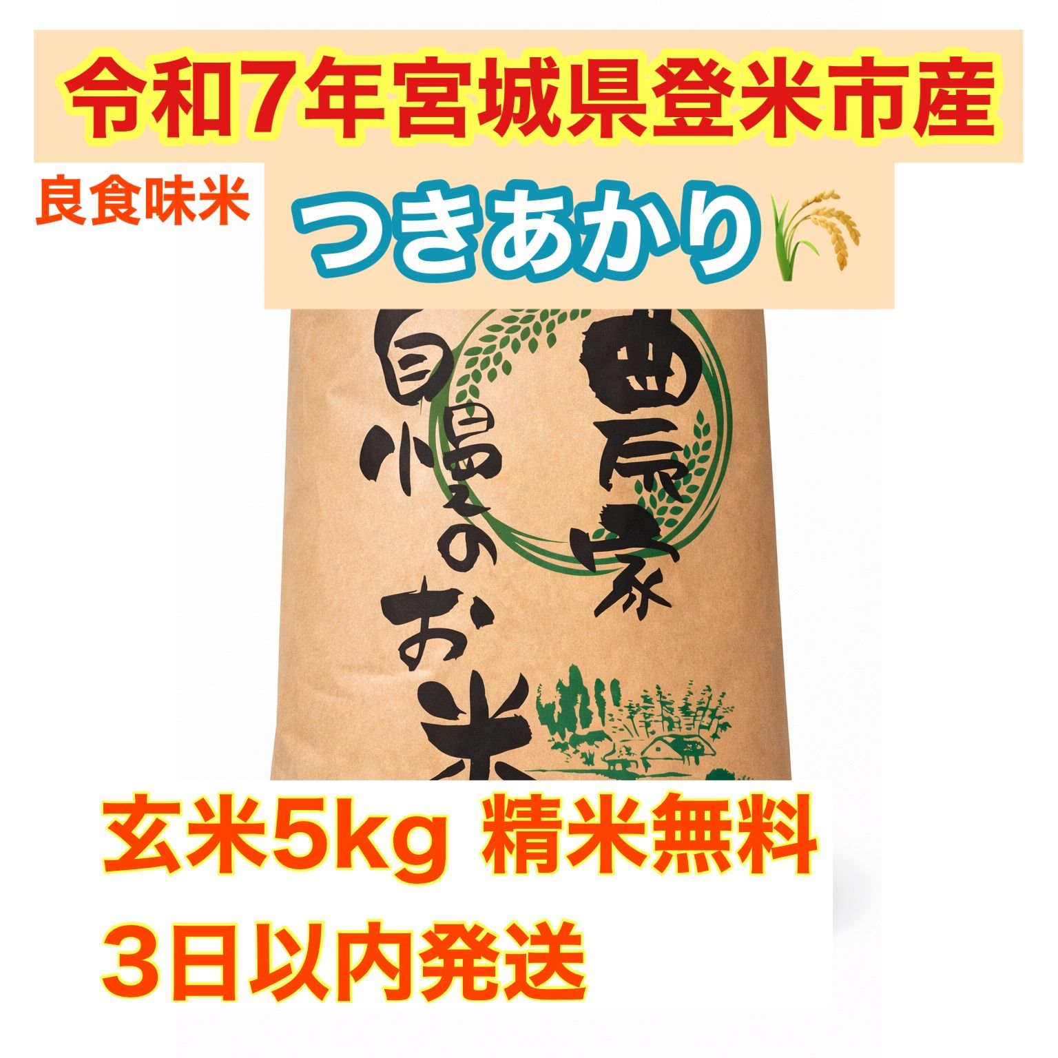 令和7年産 宮城県登米市産 つきあかり 玄米10kg - メルカリ