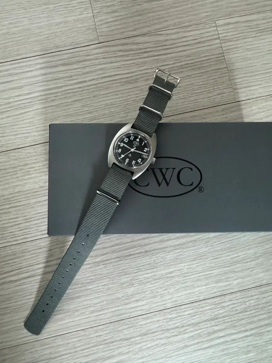 Cwc t20 /w10 腕時計