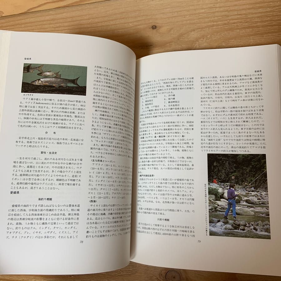世界つり大観 日本編 ベースボール・マガジン社 THE ENCYCLOPEDIA OF