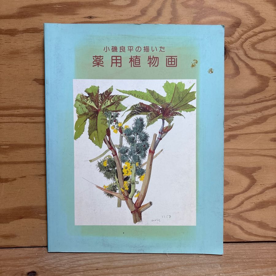 小磯良平の描いた薬用植物画 オトモ ジギタリス
