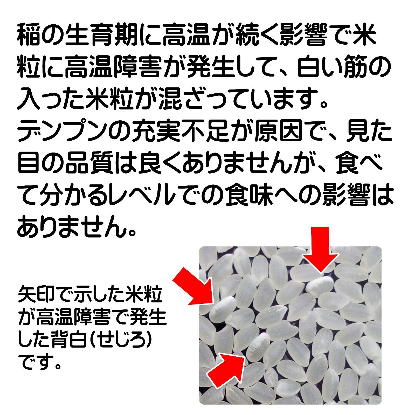 お米 三重産コシヒカリ 10kg 白米 令和7年産 - メルカリ