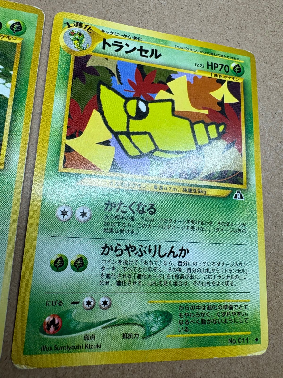 neoシリーズのキャタピー＆トランセル(ダメージ特価品) ポケモンカード