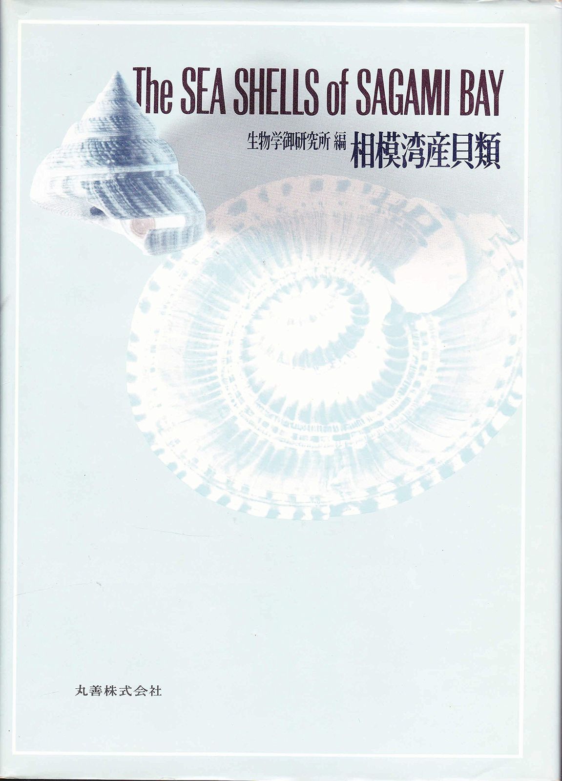[2B]相模湾産貝類 (1971年) 8,366円