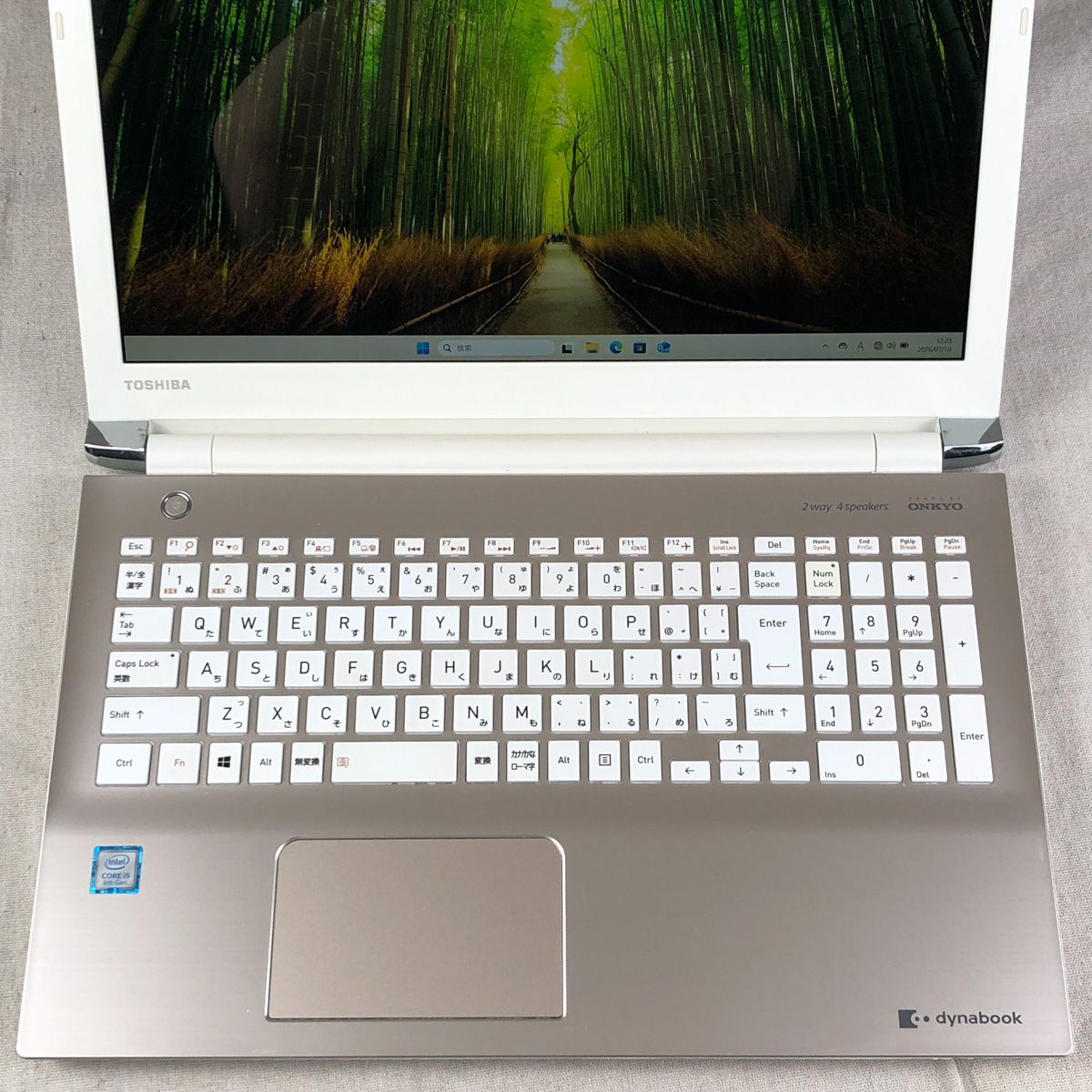 ◇ジャンク品◇ノートPC パソコン dynabook EX/5GG【i5-8250U・メモリ