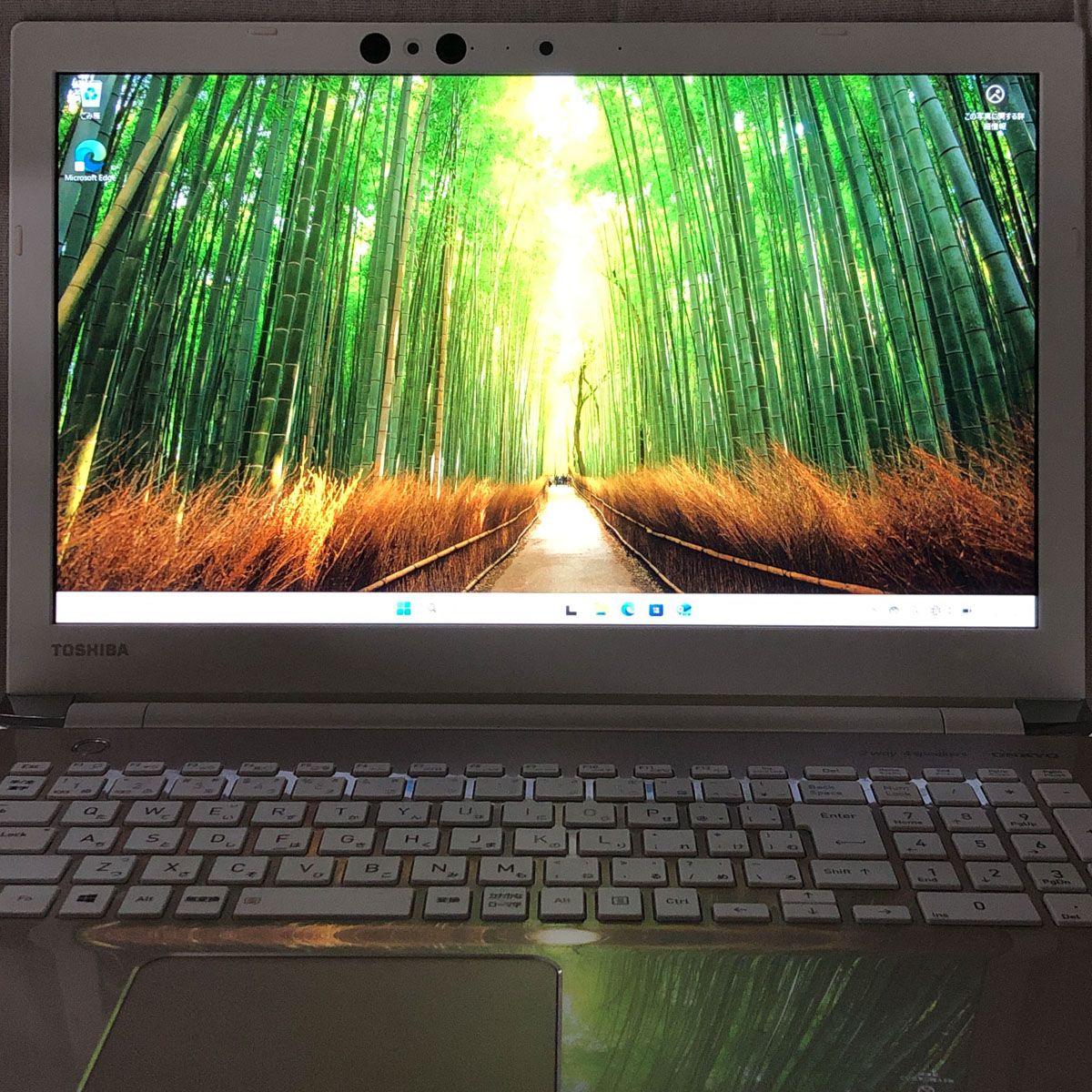 ⚠️ジャンク品　DynabookノートPC Intel i5 8250U ◇ジャンク品◇ノートPC パソコン dynabook EX/5GG【i5-8250U・メモリ