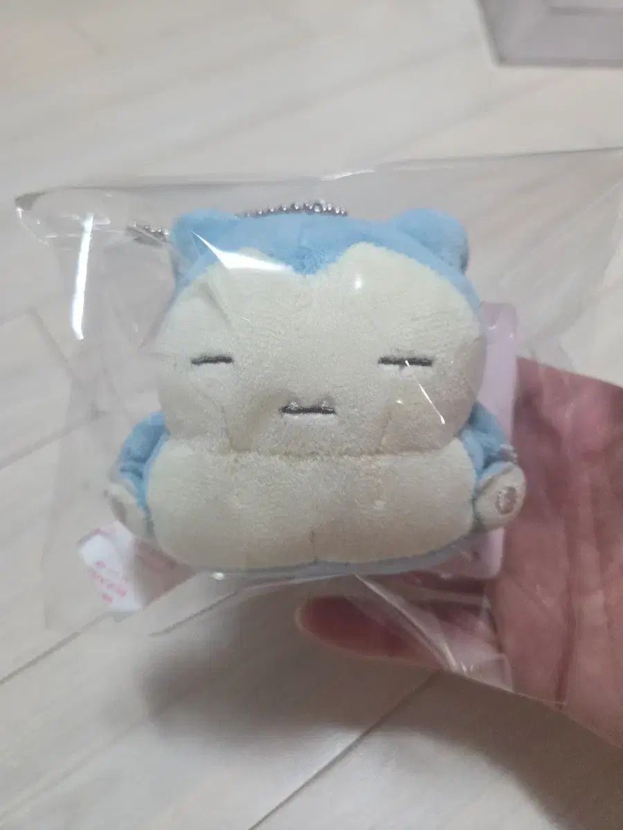 日本正規品 ディザー プレート ポケモン 2017