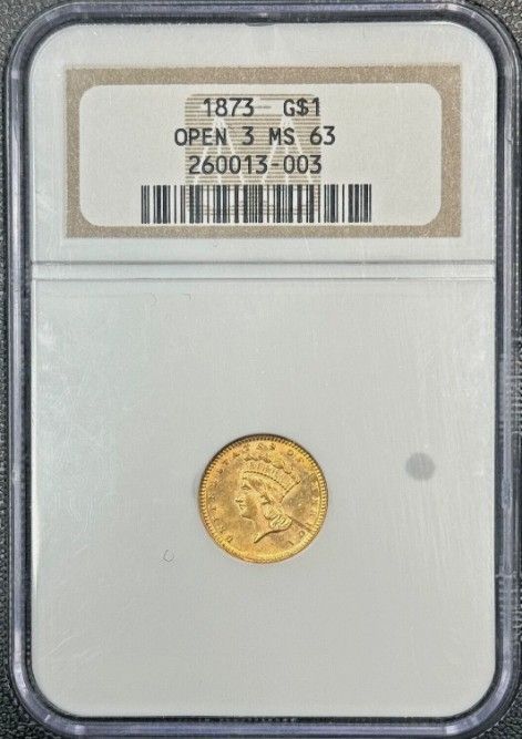 1873年 P インディアン・プリンセス・ヘッド 1ドル NGC MS63