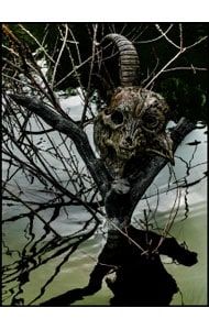 DVD／the GazettE LIVE TOUR 13-14【MAGNIFICENT MALFORMED BOX】FINAL