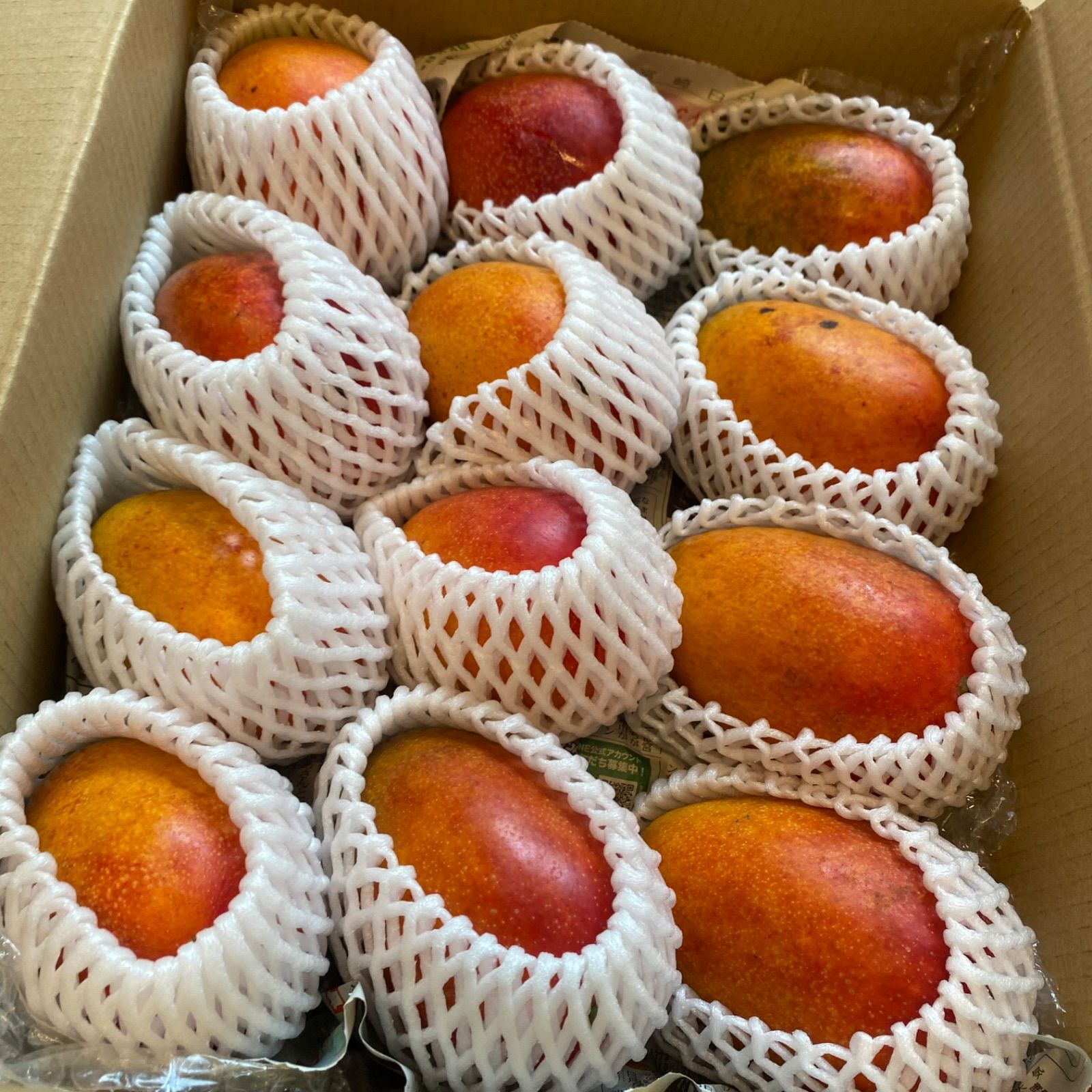 訳あり宮崎完熟マンゴー 12玉 約4kg - メルカリ