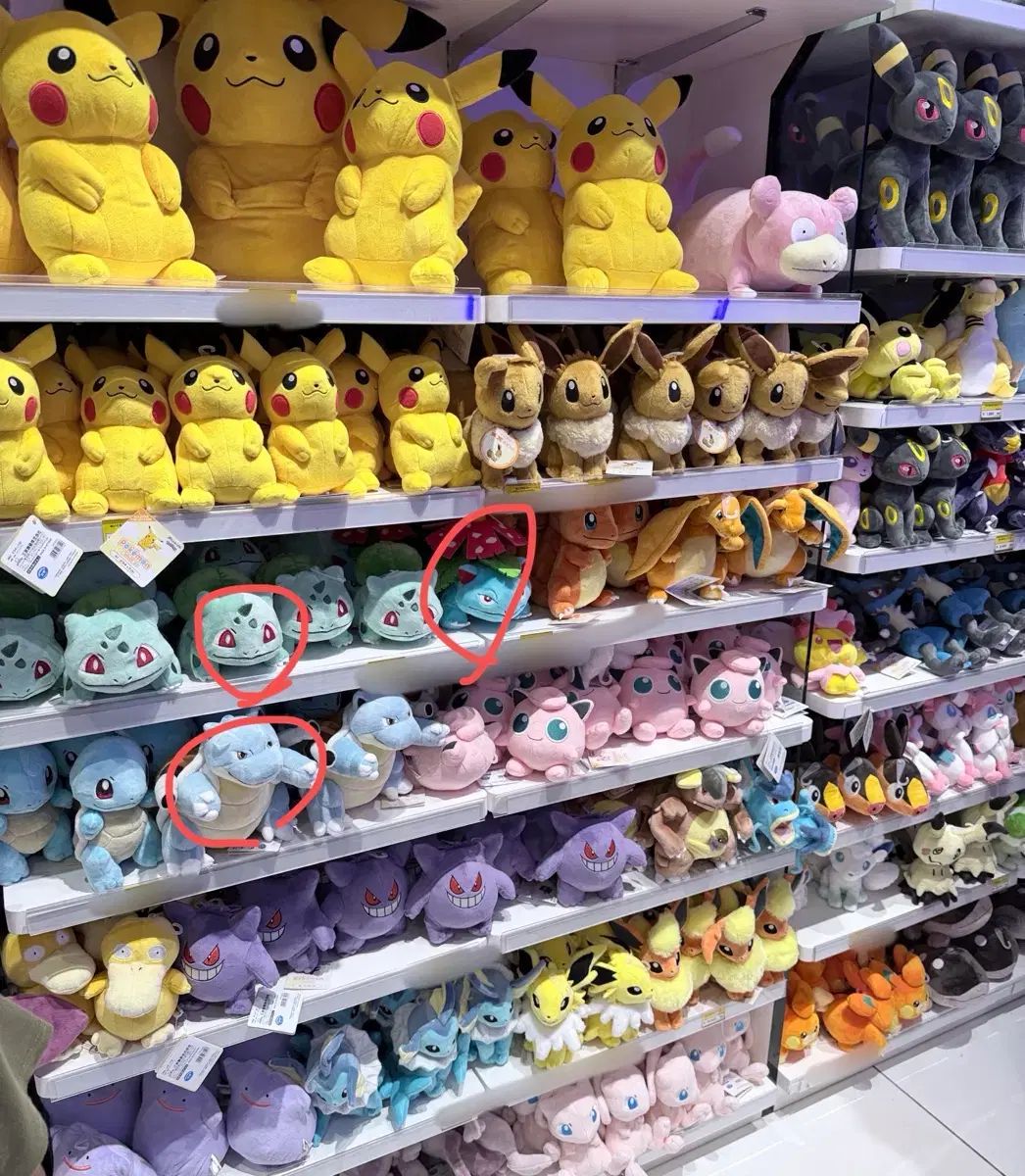 18番 決済画面) フシギダネ、フシギダネ、カメックス、ポケモンセンター ぬいぐるみ