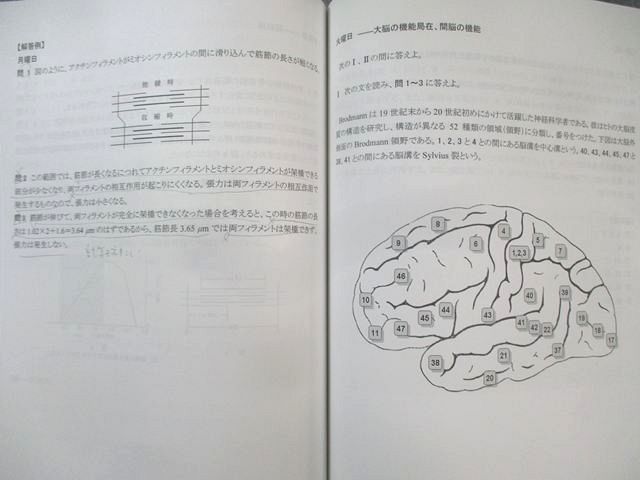 河合塾KALS 生命科学ワークブック/要項集 テキスト通年セット 2020 計4