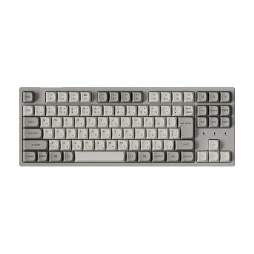【国内正規品】Keychron C1 Pro 8k QMK/VIA カスタム有線メカニカルキーボード TKL配列 JISレイアウト プログラマブル PBTキーキャップ RGBバックライト Keychron Super 赤軸 対応 Mac・Windows・Lyu