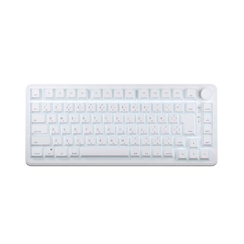 AIM1 瞬 ラピッドトリガー 0.01mm ゲーミングキーボード 日本語配列 75%サイズ ポーリングレート8000Hz対応 MATATAKI ホワイトyu
