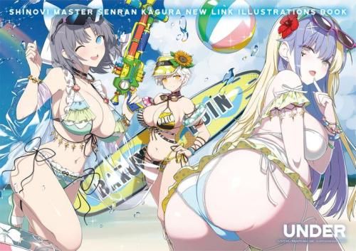 [新品][画集]『シノビマスター 閃乱カグラ NEW LINK ILLUSTRATIONS (全2冊)