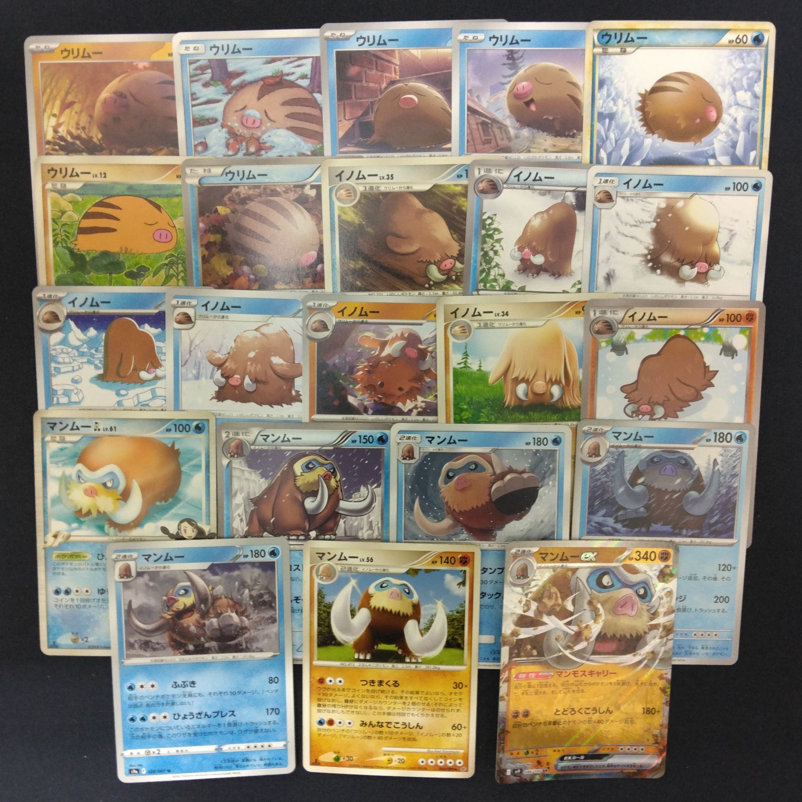 ウリムー イノムー マンムー 絵柄かぶりなし まとめ売り pokemon
