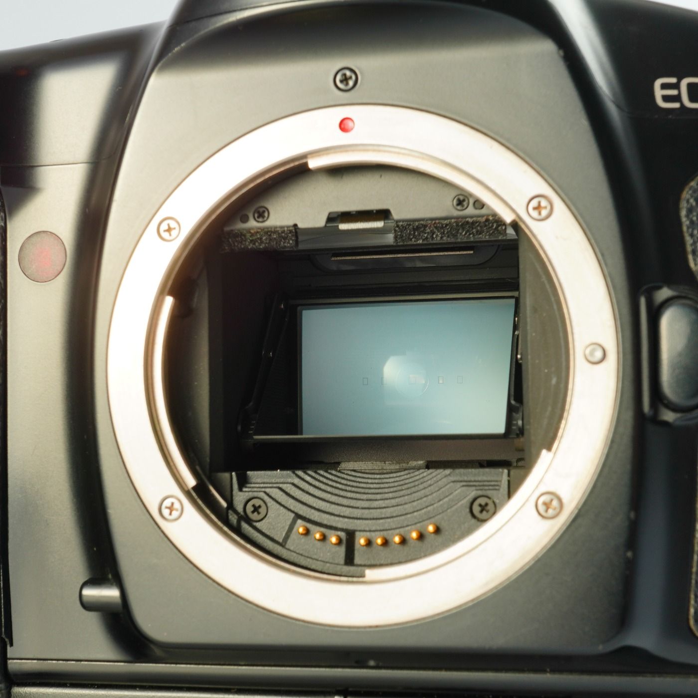 Canon キヤノン EOS 1N +Power Drive Booster E1 AF フィルム一眼レフ
