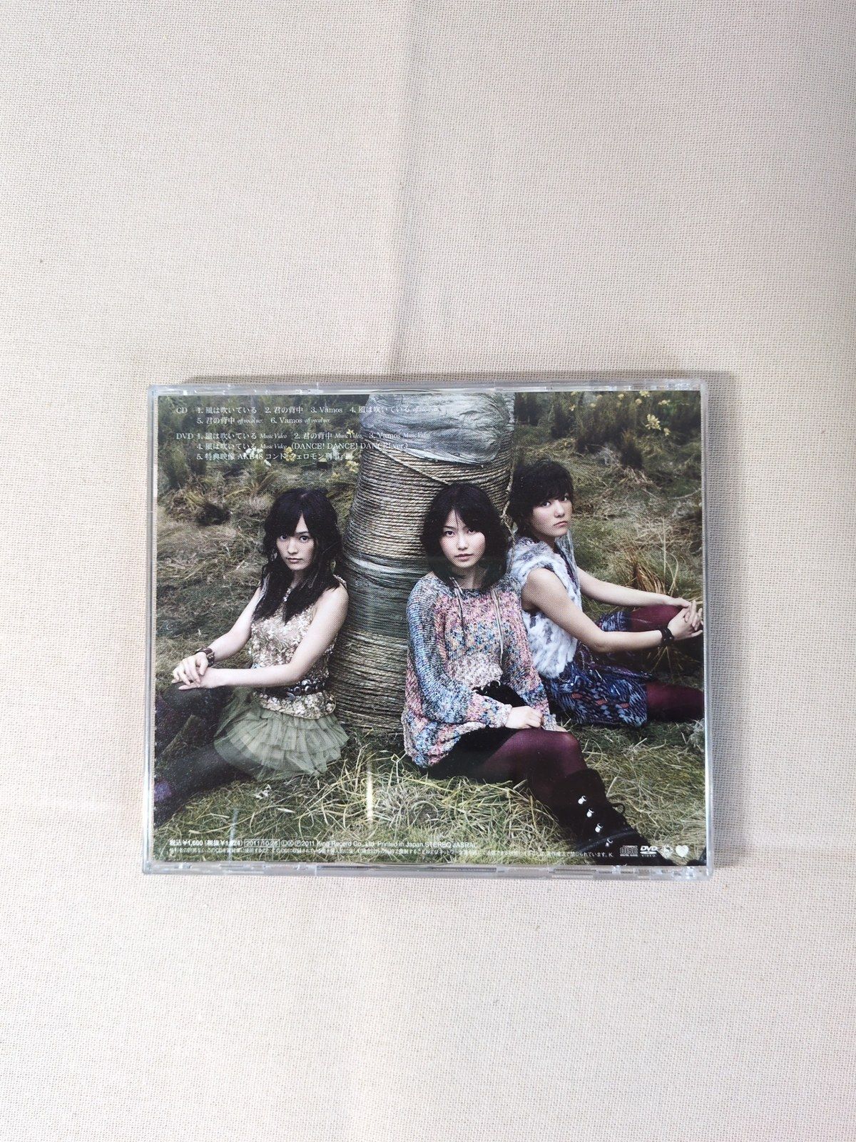 AKB48 風は吹いている Type A CD+DVD 2枚組 マキシシングル KIZM 90131