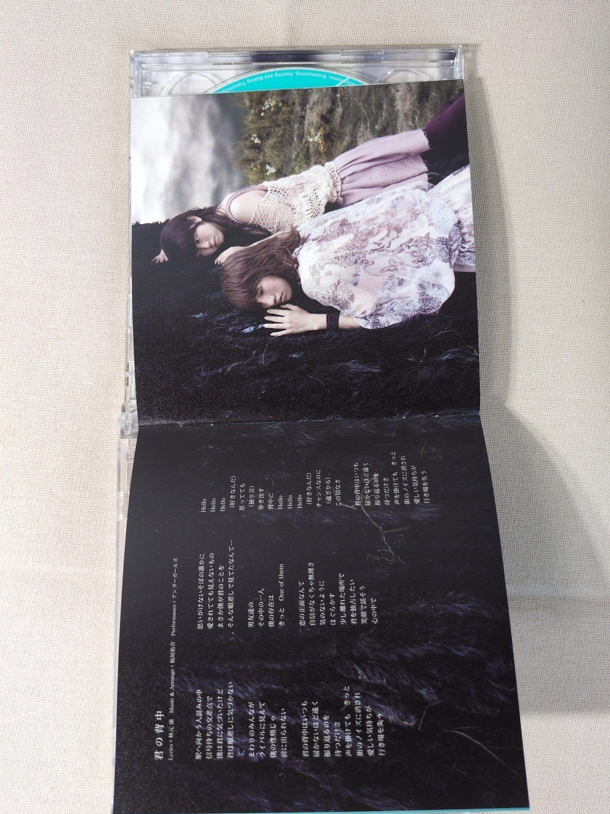 AKB48 風は吹いている Type A CD+DVD 2枚組 マキシシングル KIZM 90131