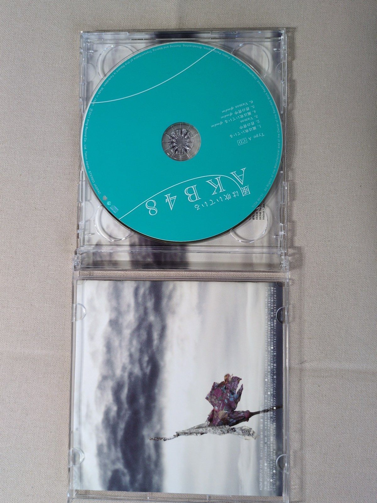 AKB48 風は吹いている Type A CD+DVD 2枚組 マキシシングル KIZM 90131