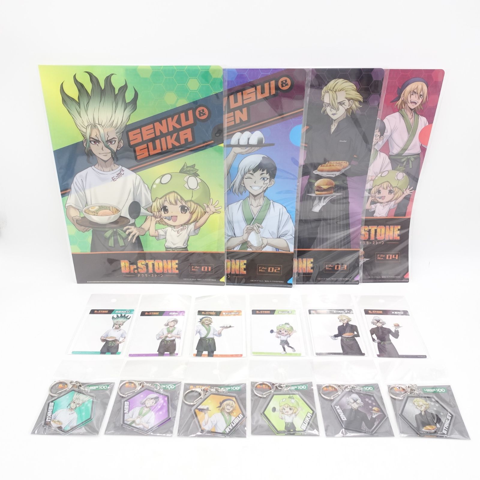 TVアニメ Dr.STONE ローソンストア100 クリアファイル アクリル