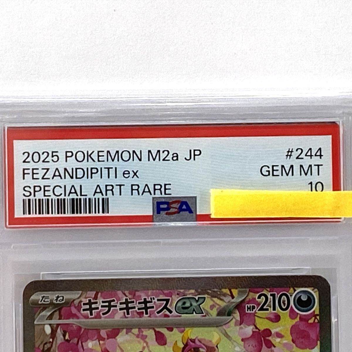 PSA10】ポケモンカード キチキギスex M2a 244/193 SAR 鑑定品 - メルカリ