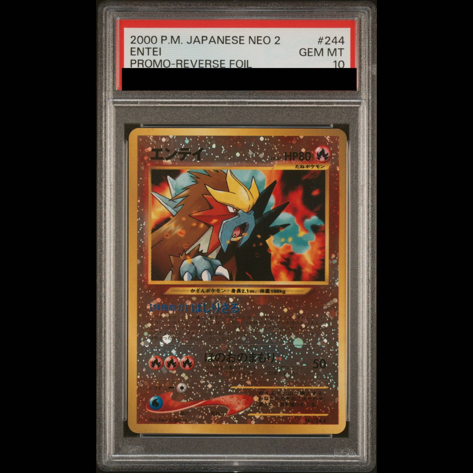 エンテイ 旧裏 PSA10 プレミアムファイル PSA10】エンテイ プレミアムファイル 旧裏 1枚 - メルカリ