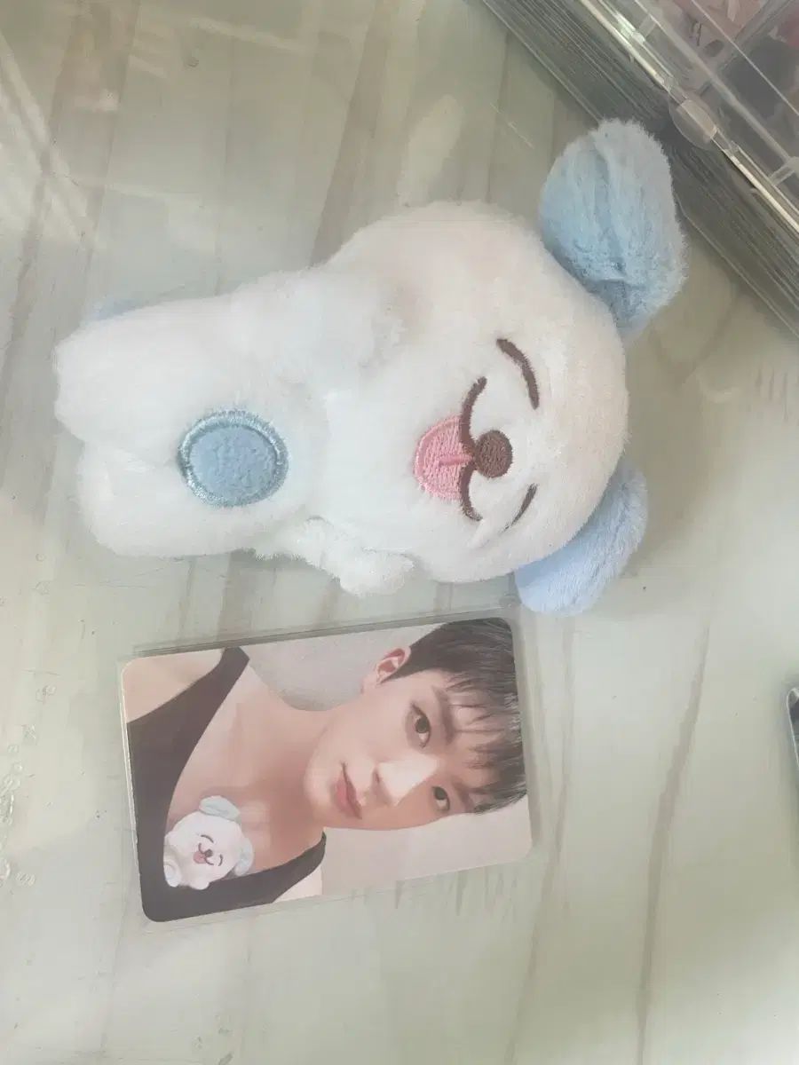 NCT DREAM ジェノ 므엉이 ぬいぐるみ