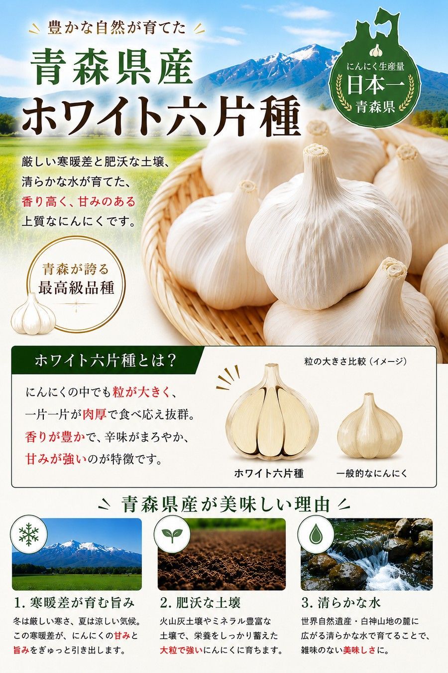 青森産にんにく 1kg 福地ホワイト六片種 新鮮 - メルカリ