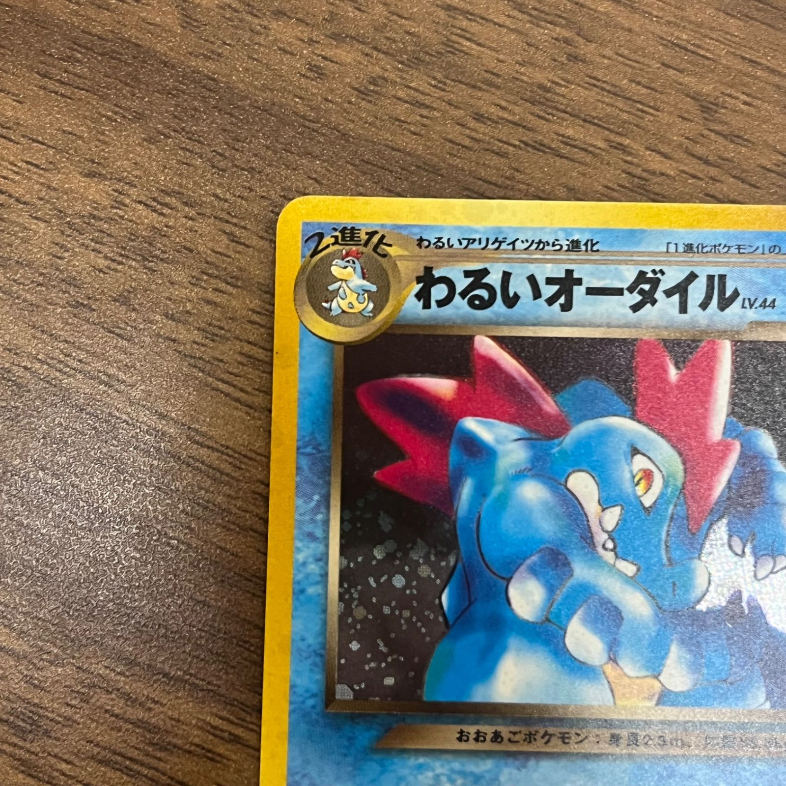 (b10914) わるいオーダイル ★ : 旧裏 [neo4 No.160](ポケモンカード★neo 拡張パック「闇、そして光へ...」)｜詳細画像