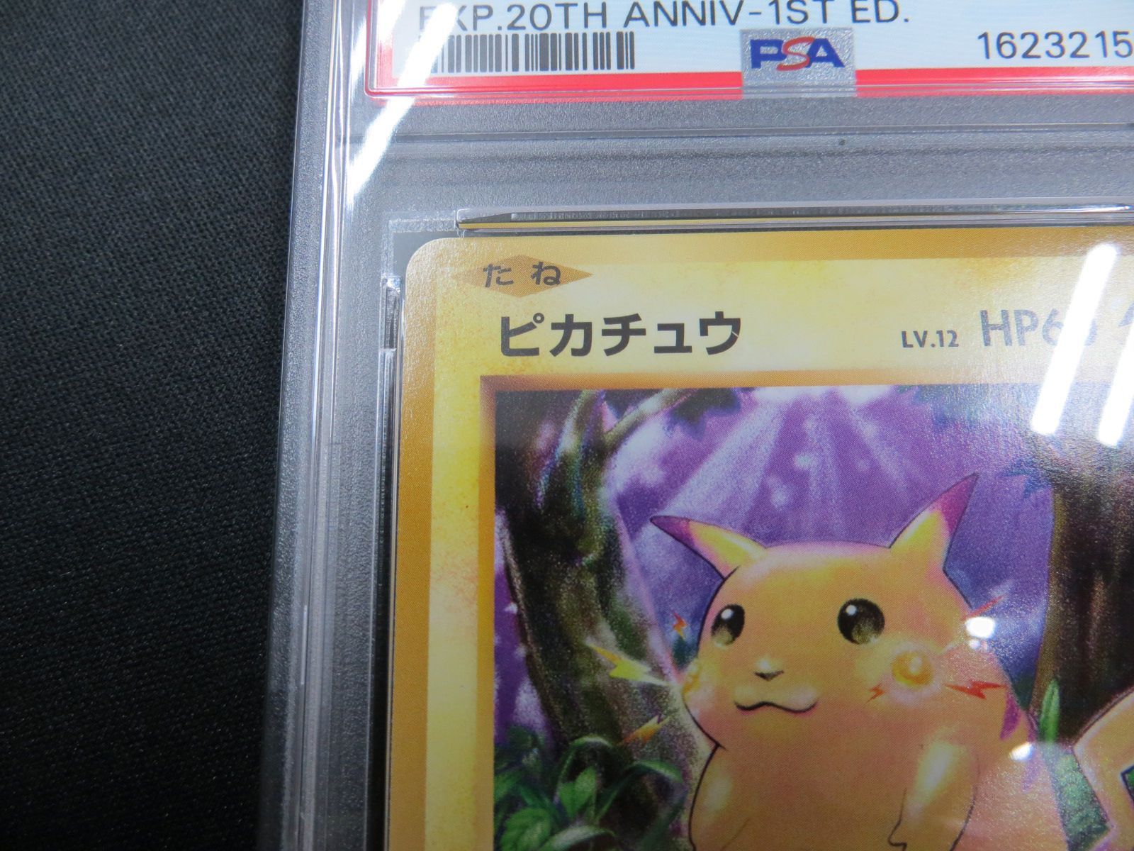 PSA10】 ポケモンカード ピカチュウ PIKACHU 033/087 CP6 1ED 20th