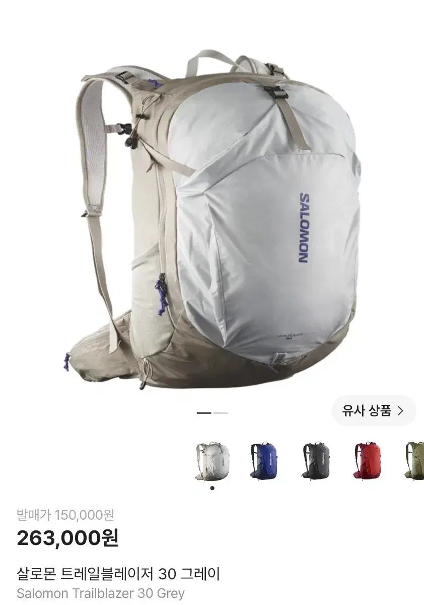 SALOMON サロモン トレイルブレーザー 30 グレー