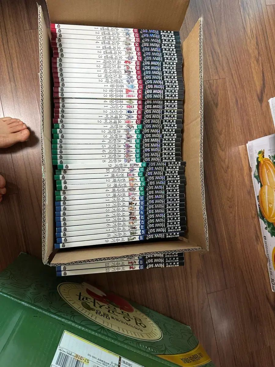 HOW SO? 中国専門文学 80巻