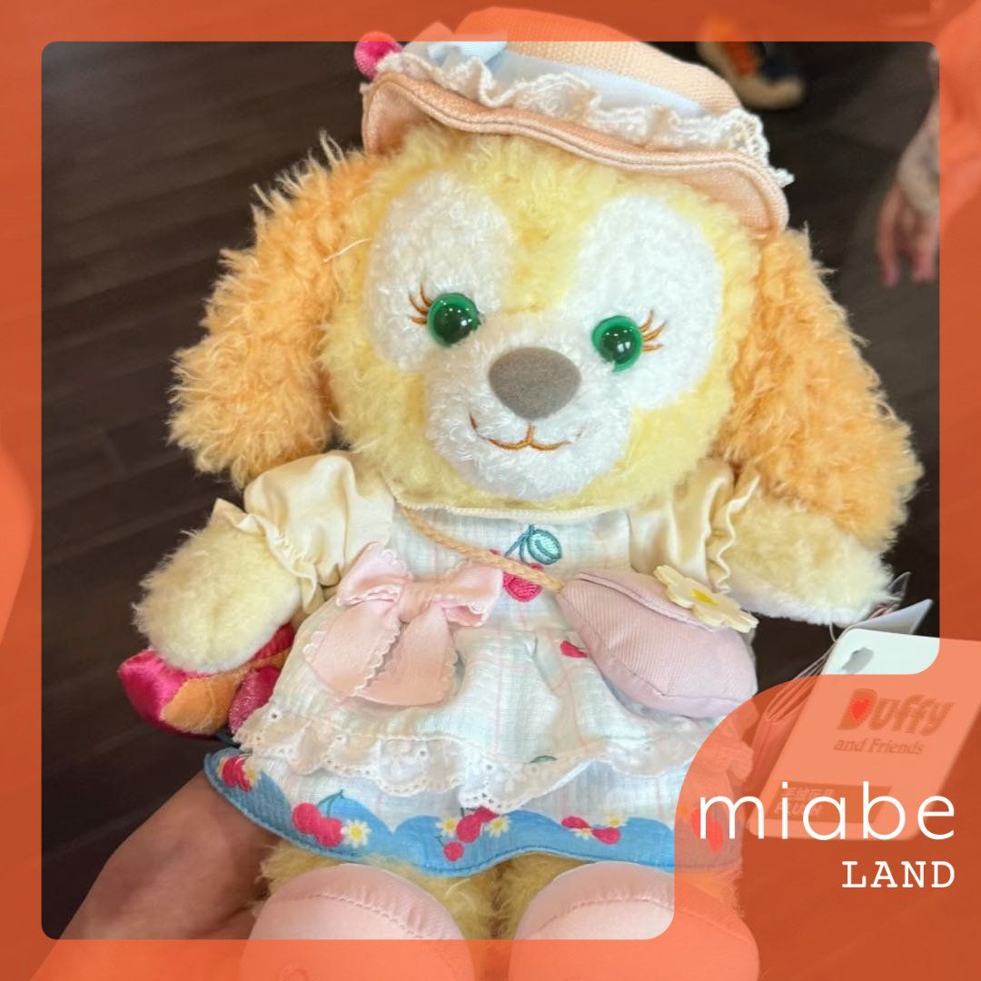 Group B｜10~15営業日国内倉庫発送｜miabe LAND｜上海ディズニー｜限定