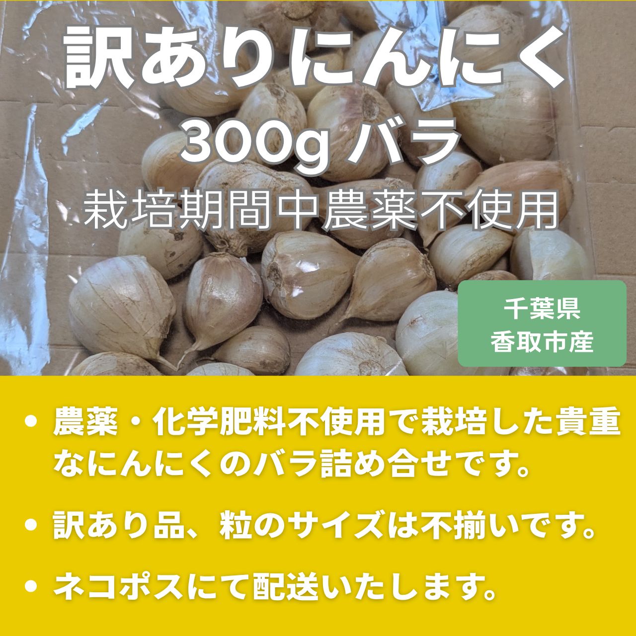 千葉県産生にんにく、栽培中農薬不使用 箱込み5キロ 訳あり】農薬不使用にんにく 300g 千葉県産 - メルカリ