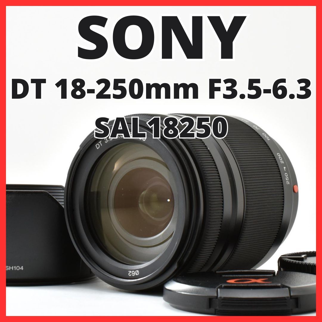 ソニー SONY DT 18-250mm F3.5-6.3 SAL18250 【おまけ付き】 #612-026