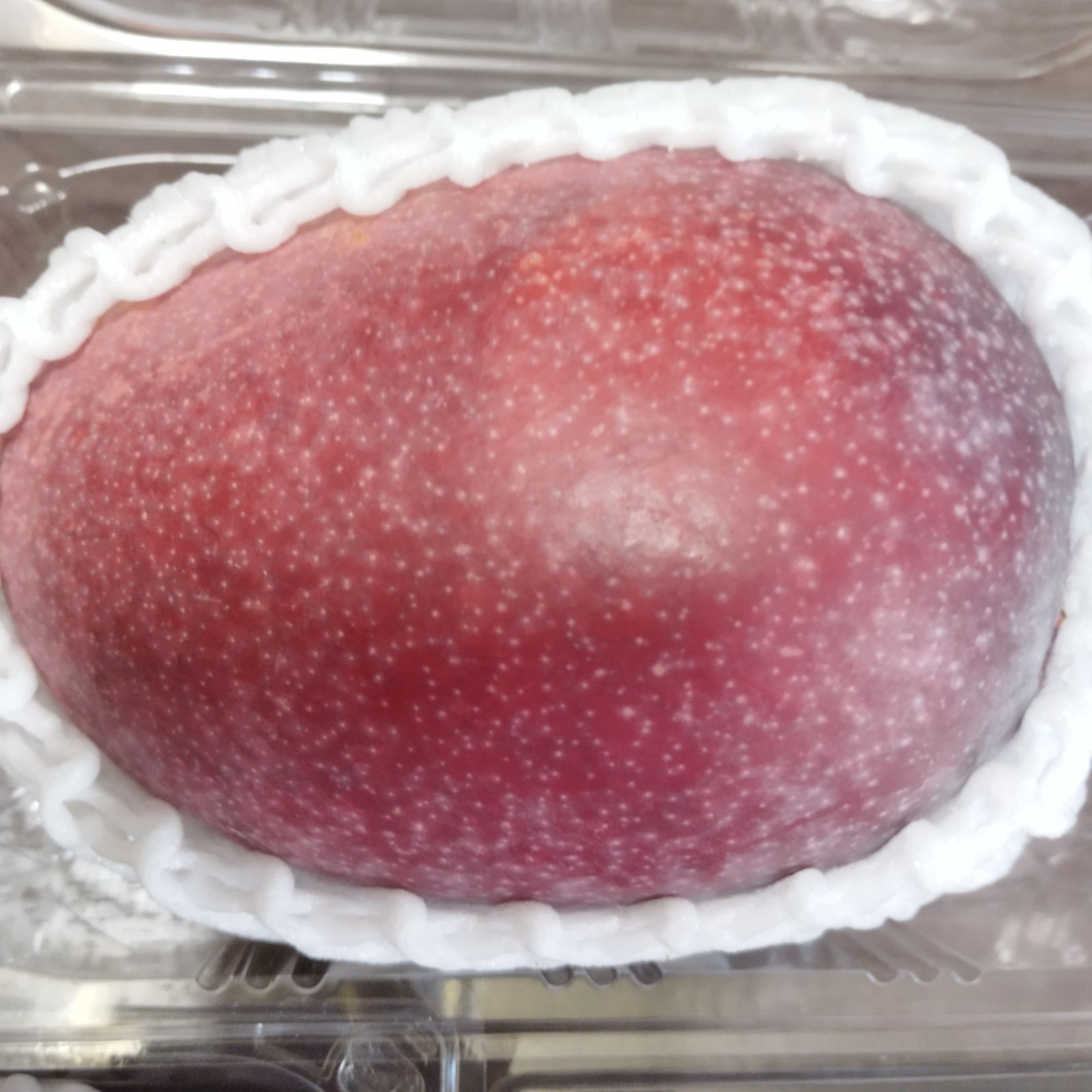沖縄県産 アップルマンゴー 1.7kg弱 クール便 - メルカリ