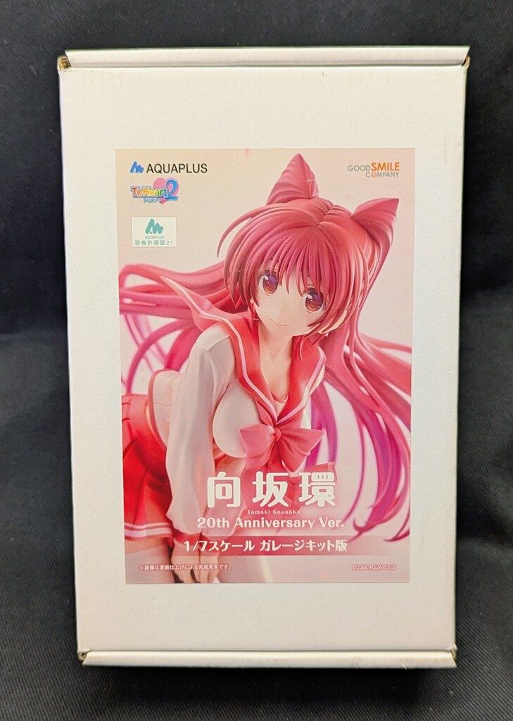 グッドスマイルカンパニー 1/7スケールレジンキット 原型 九品仏致志 向坂環 20thAnniversary Ver.