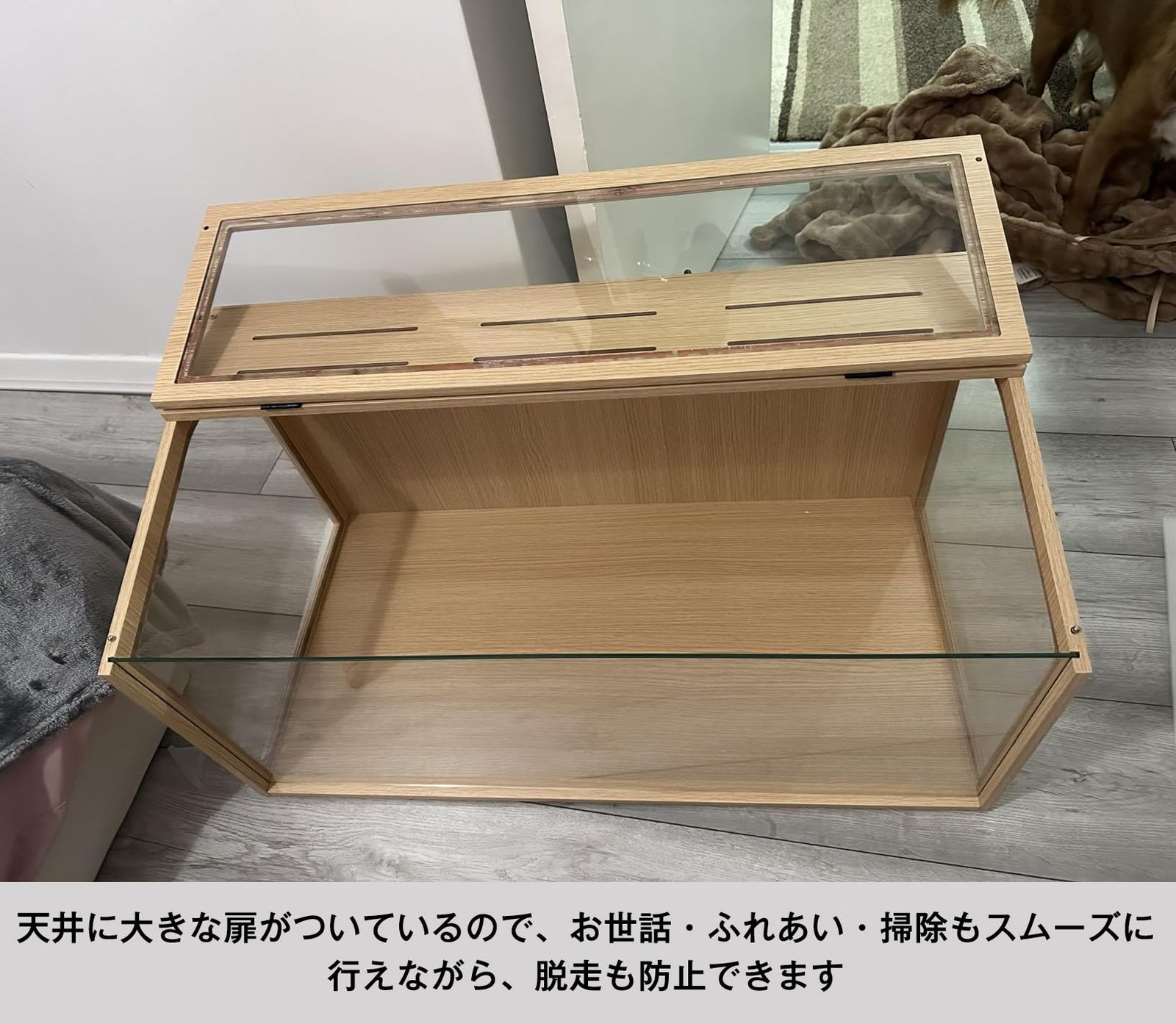 ガラス チンチラケージ チンチラ ケージ アクリルの通販