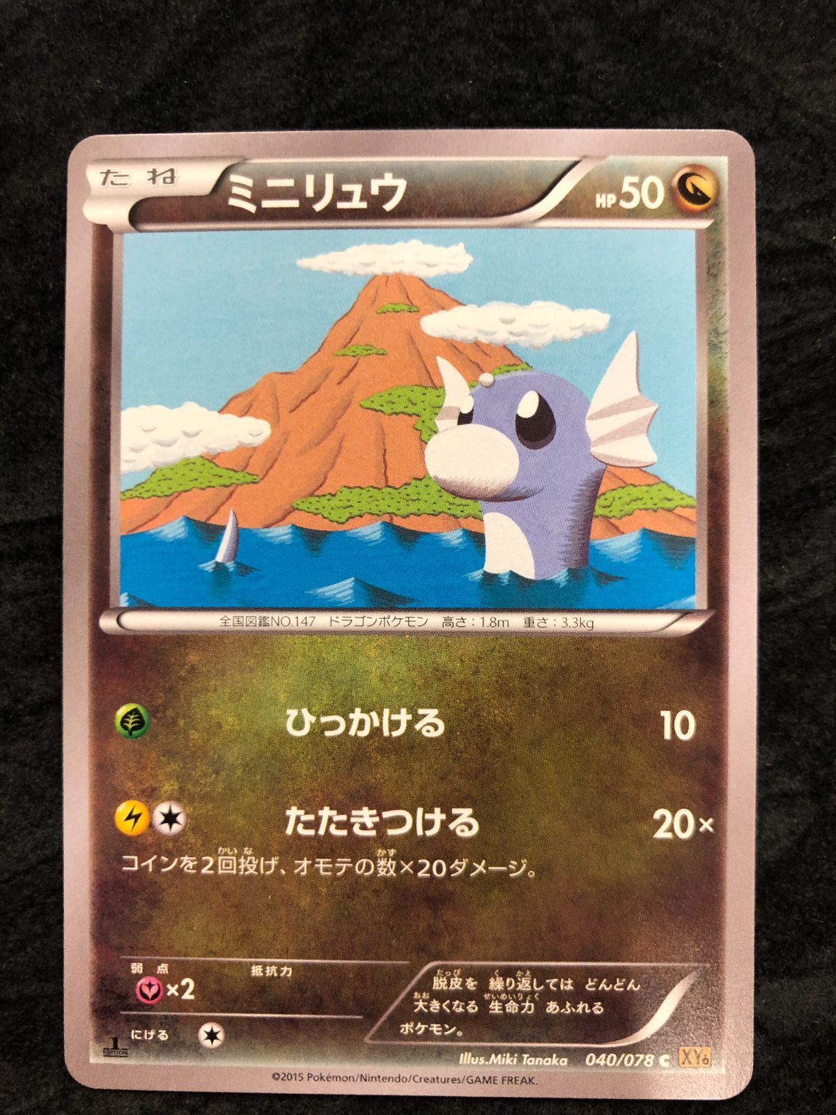ポケモンカード ミニリュウ C XY6 040/078 ハクリュウ C XY6 041/078