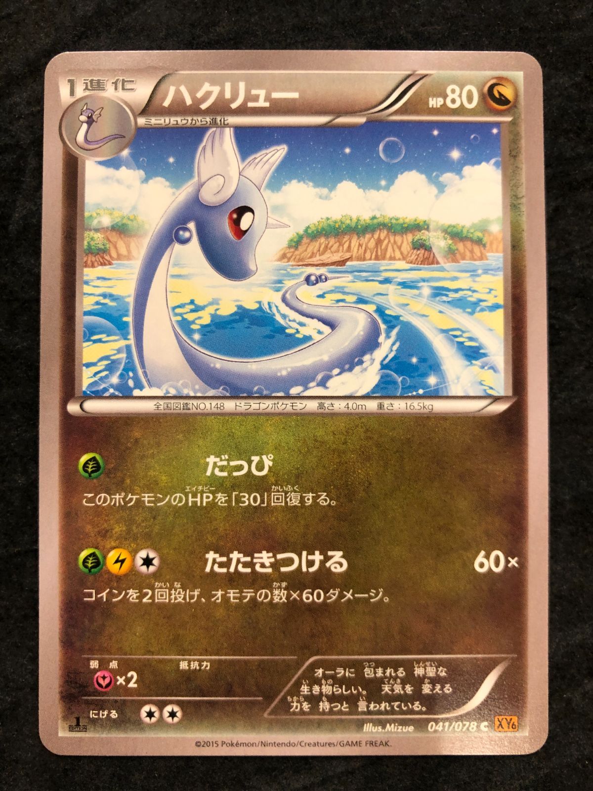 ポケモンカード ミニリュウ C XY6 040/078 ハクリュウ C XY6 041/078