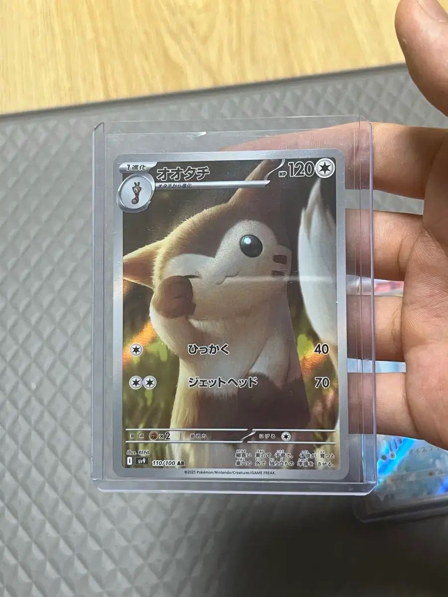 （一般版）ダッコリー ar