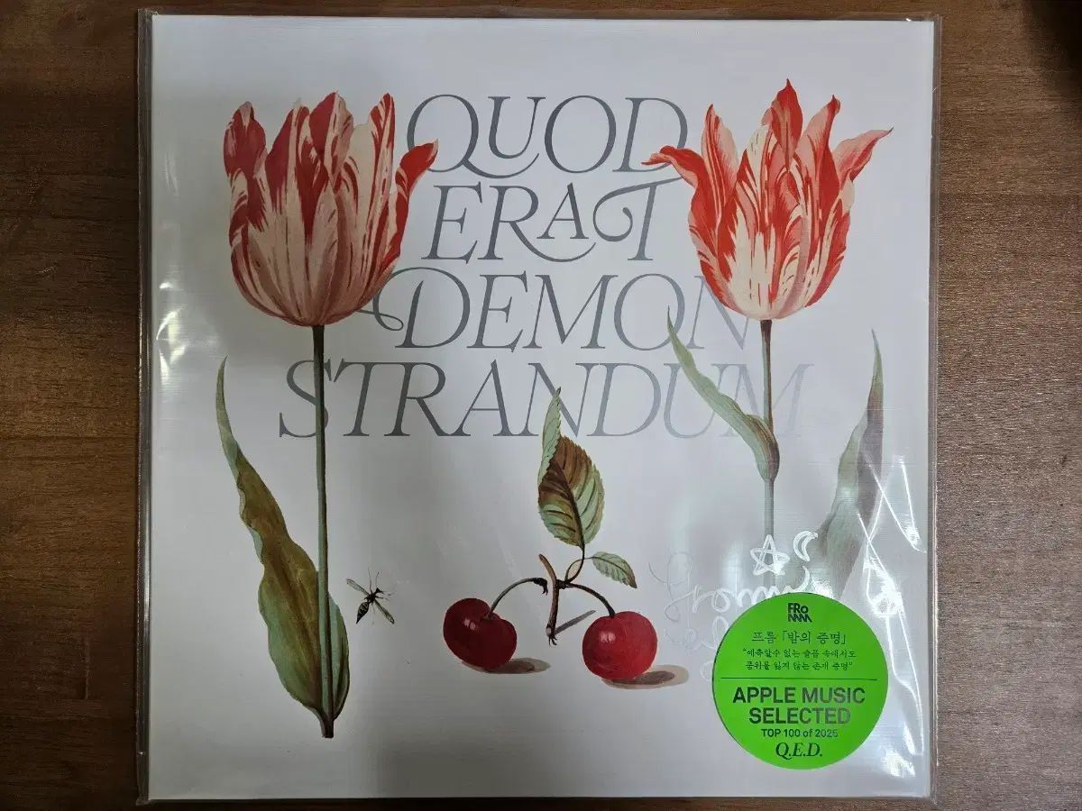 From Q E D LP 未開封 サインボード