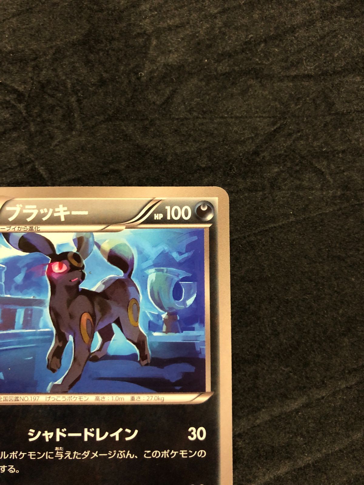 ポケモンカード ブラッキー U BW4 042/069 「ダークラッシュ」 - メルカリ