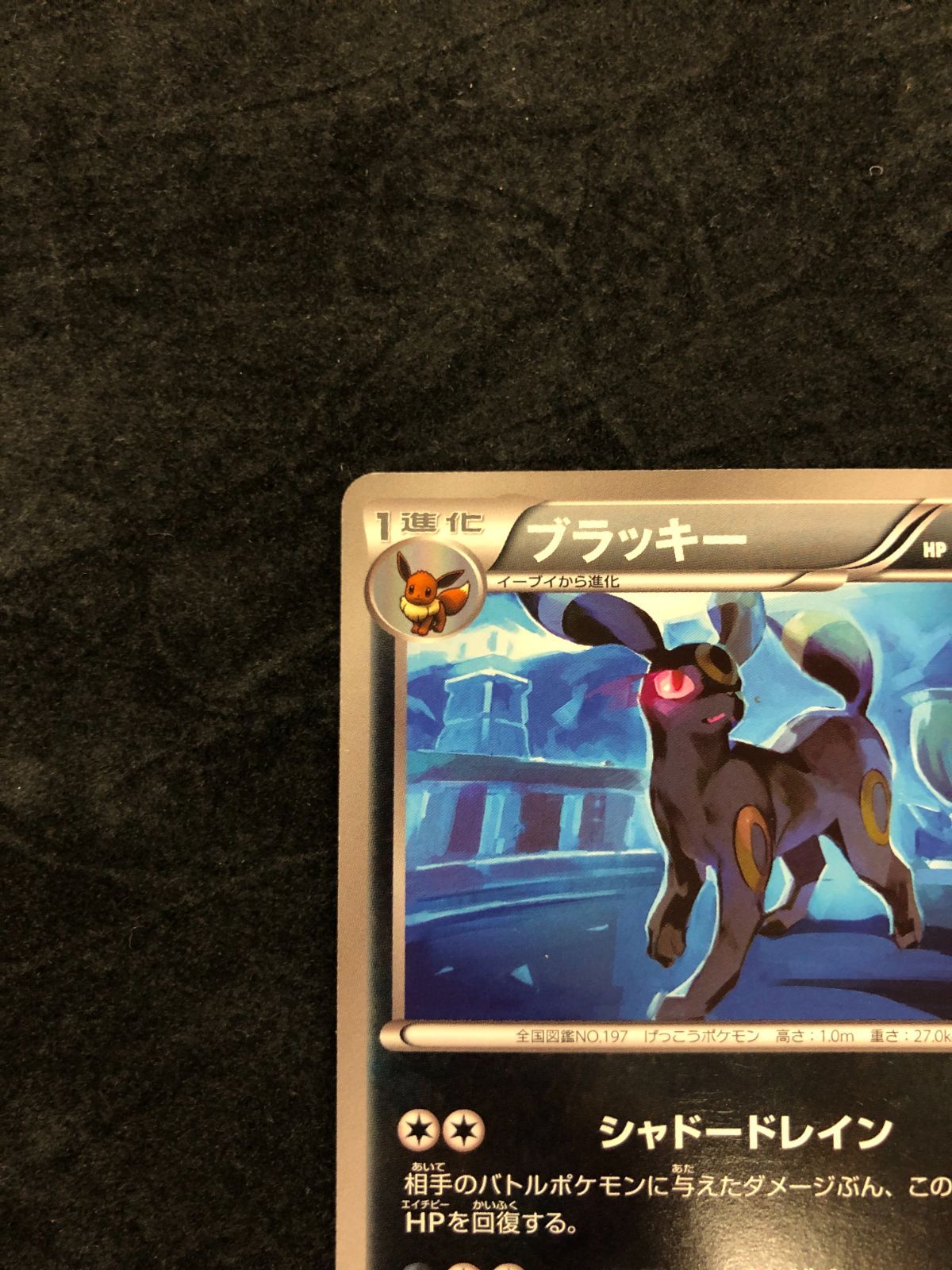 ポケモンカード ブラッキー U BW4 042/069 「ダークラッシュ」 - メルカリ