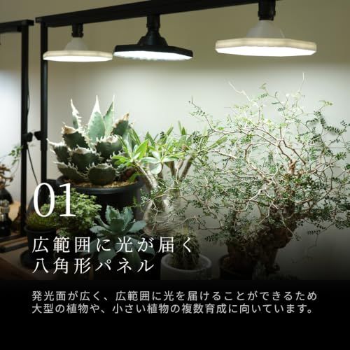 ★新品★【BARREL公式】ROKI-Octagon-50W ホワイト 植物育成ライト LED パネル 高演色 多機能 フルスペクトル 観葉植物 多肉植物 室内栽培 省エネ 長寿命 よく育つ 1f3fbe9e